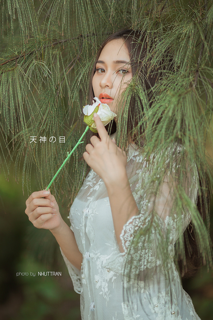 大片黄色